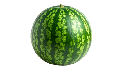 Round, striped green fruit, smooth rind with dark and light green patterns