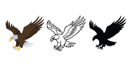 Fototapeta premium Three different eagle illustrations in various colors and styles flying freely