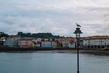 A seagull perches on a lamppost in front of a row of buildings in Luanco, a village in Asturias. The sky is overcast and the water is calm.