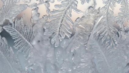 Intricate frost patterns on a window, resembling delicate ice ferns.
