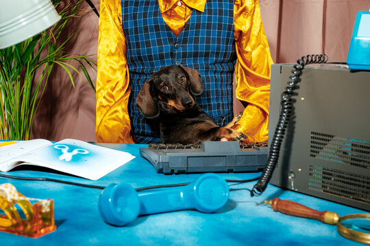 Dachshund sitting in man's lap in a retro quirky office setup