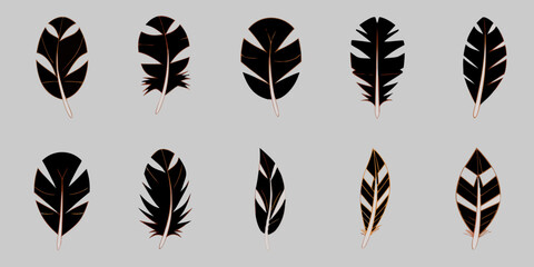 A collection of dark feathers displayed against a pale gray background