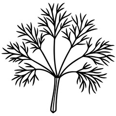 Dill line art vector