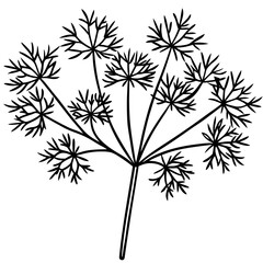 Dill line art vector