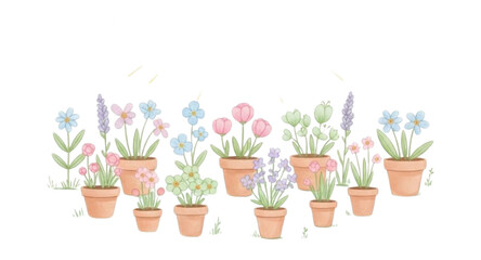 spring flowers in a pot