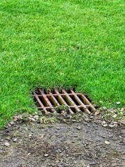 Portrait image of drain on border between grass and path