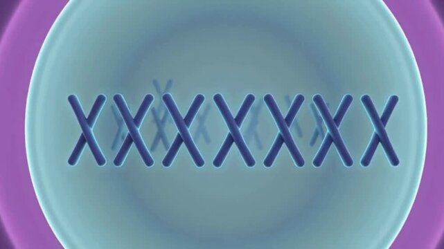 Animated Chromosomes Lining Up During Metaphase &ndash; Educational Science Clip