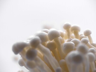 Enoki mushroom - Typical of Japanese cuisine