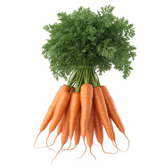 Fresh orange carrots with green leafy tops in a bunch transparent background isolated on a transparent background