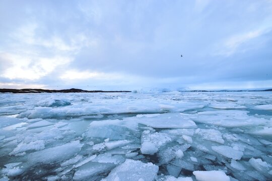 アイスランドの氷河湖に浮かぶ大小様々な氷の塊 透き通るようなブルーの氷と冷たい水面が織りなす極地の風景 地球温暖化や環境問題を考えさせる自然の記録写真 寒冷地の厳しい気候と美しい景観