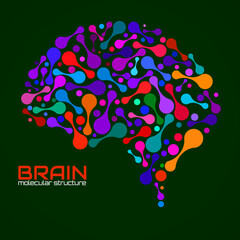 Human brain of molecular structure, idea for your design, vector illustration
