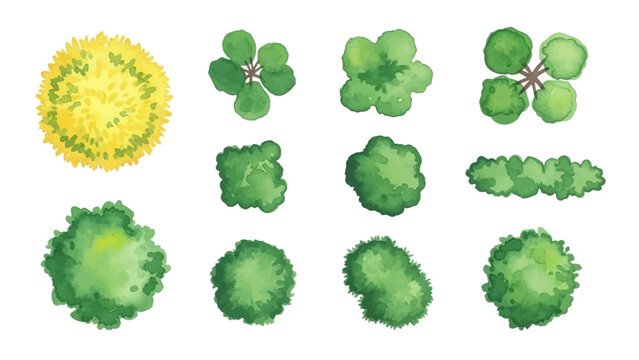 Watercolor tree icon set, yellow hand drawn bush top view, vector green architecture map design kit. Garden park abstract sign, nature environment plan landscape layout object. Flat tree top crown art