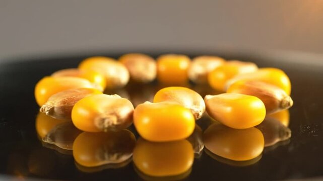 Close-up of golden popcorn kernels arranged in a circle on a reflective black surface for a conceptual still-life.