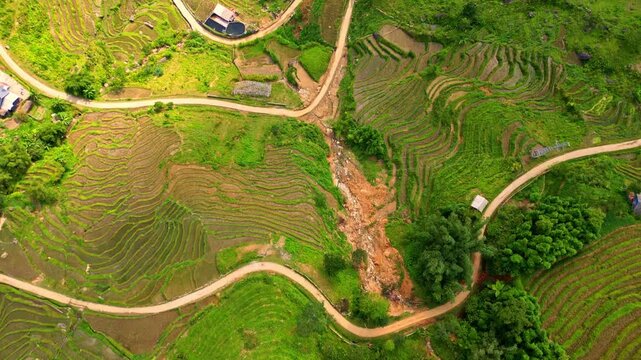 Aerial view of the vibrant green terraced rice fields cascading down the hillsides, punctuated by winding roads, Sapa, Lao Cai, Vietnam.