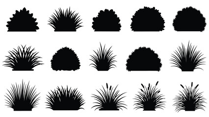 Collection of diverse bush and shrub silhouettes against a white background