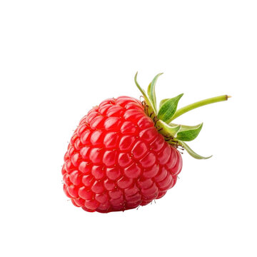 Single raspberry isolated on transparent background