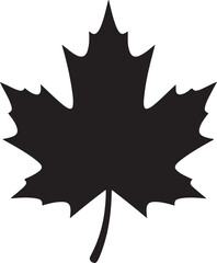 Single black maple leaf silhouette isolated on transparent background