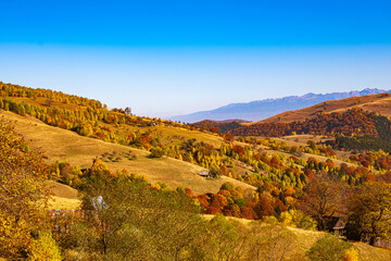 Fototapeta premium a scenic autumn landscape in the Carpathian Mountains of Romania, The hillsides are covered in dense forests displaying vibrant fall colors, including shades of orange, yellow, and red