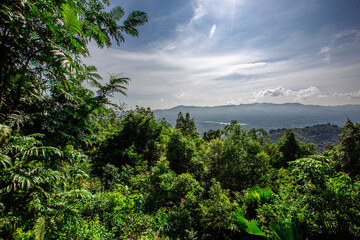 Fototapeta premium A natural backdrop from a high mountain peak offers a panoramic view of the surrounding landscape, including trees, grass, rubber plantations, and skyscrapers stretching as far as the eye can see.
