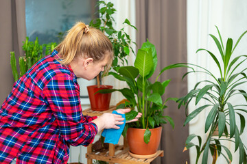 A middle-aged Caucasian woman tending to plants. Home gardening.