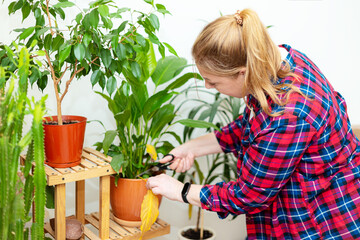 A middle-aged Caucasian woman tending to plants. Home gardening.