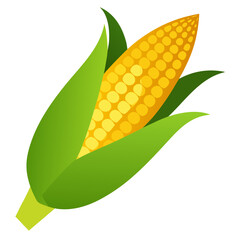 vector illustration of corn
