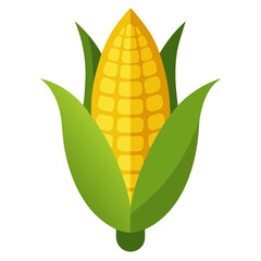 vector illustration of corn