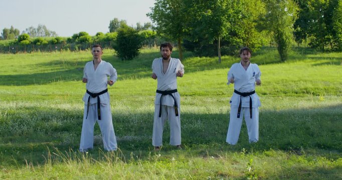 Karate practitioners perform exercises while standing on grass. Three young karatekas train on the grass.