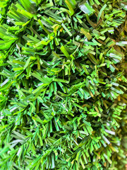 Artificial turf vertical garden wall texture closeup