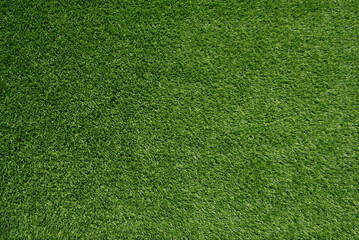Top view of green grass background. Green turf
