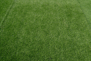 Top view of green grass background. Green turf