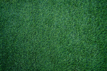 Top view of green grass background. Green turf