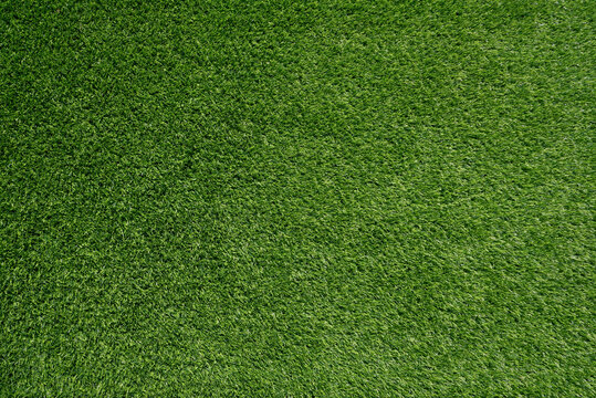 Top view of green grass background. Green turf