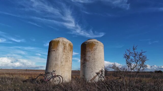 BANDADA DE GRULLAS VOLANDO SOBRE CAMPOS