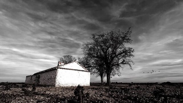 BANDADA DE GRULLAS VOLANDO SOBRE VI&Ntilde;EDO