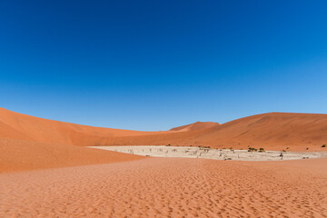 Fototapeta premium Deadfvlei