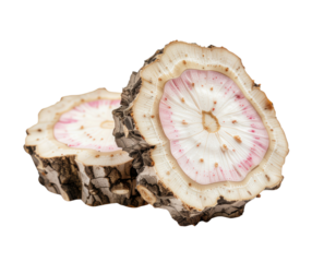 Two cross-sections of a plant stem or root with rough bark. The interior reveals a detailed white and pink circular pattern.