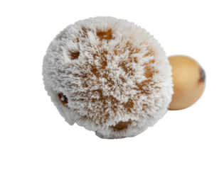 A round, brown soybean covered in a thick, spiky layer of white hoarfrost crystals, giving it a fuzzy, frozen texture.