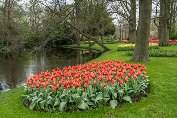 Jardin botanique aux tulipes de Keukenhof , à Lisse aux Pays-Bas