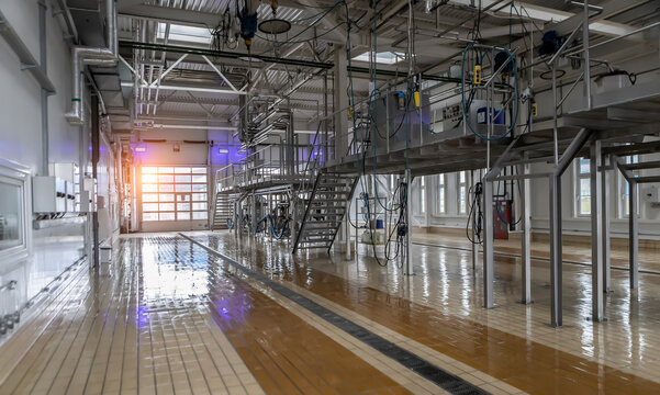 food industry, processing of whey into milk powder