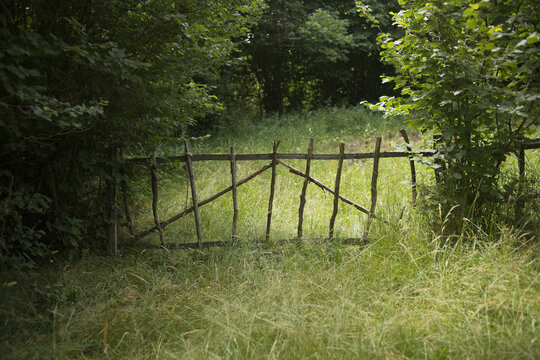 wooden fence and green grass