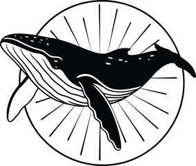 whale stylized silhouette vector illustration
