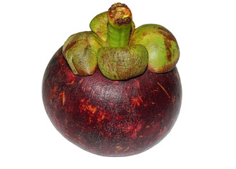 Mangosteen fruit isolated on white background
