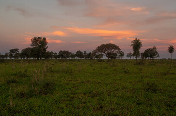Couch&eacute; de soleil flamboyant sur la savane du Pantanal, paysage sauvage et zones humides du Br&eacute;sil.