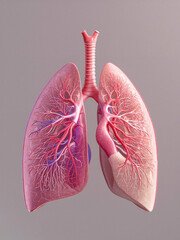 Realistic 3D human lungs model with detailed respiratory veins and arteries isolated on light background. Concept for pulmonology, cancer research, healthcare, and medical diagnostics.