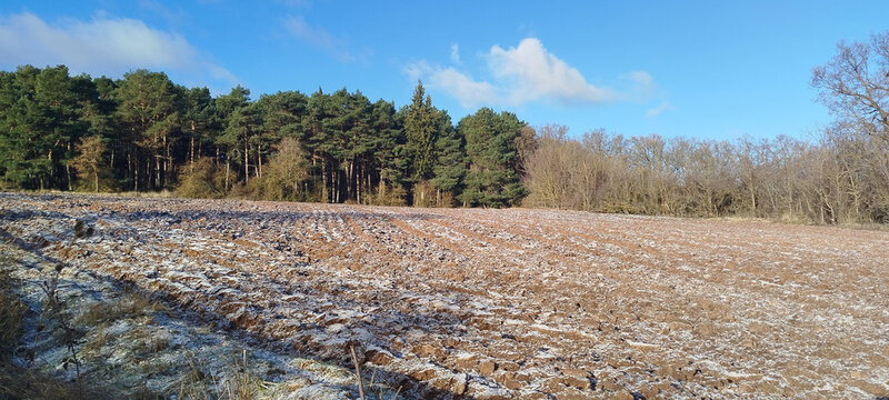 Paisaje de campo agr&iacute;cola con escarcha invernal junto a un frondoso bosque de pinos bajo un cielo azul despejado en Burgos, Espa&ntilde;a
