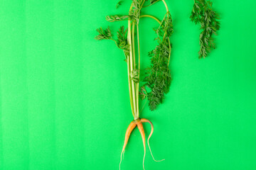 Weird looking carrot. Imperfect but tasty farmer product on green table. Fighting food waste, copy space