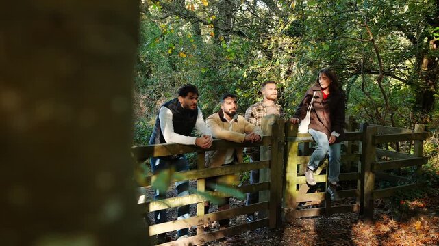 A group of people are standing in a forest, looking at something behind them. Scene is one of curiosity and wonder, as the group seems to be intrigued by whatever is behind the fence