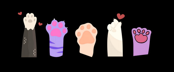 hand raised on the cat