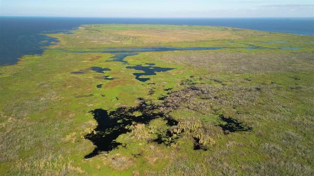 Aerial view of Lake Okeechobee shows vast, dark waterways cutting through the lush green landscape, creating a striking contrast, Lake Okeechobee, Florida, United States.